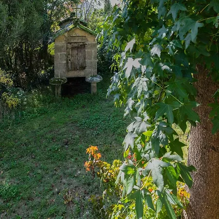 Treehouse In Galicia Near Silgar Semesterbostad