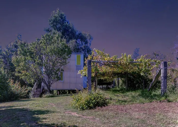 Tatil Evi Treehouse In Galicia Near Silgar Sanxenxo