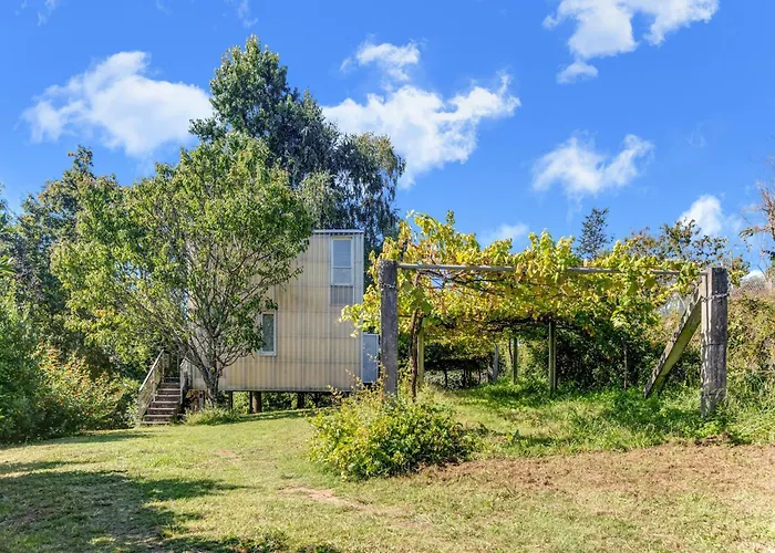 Treehouse In Galicia Near Silgar *